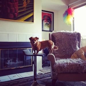 Meet your Posher, Ean